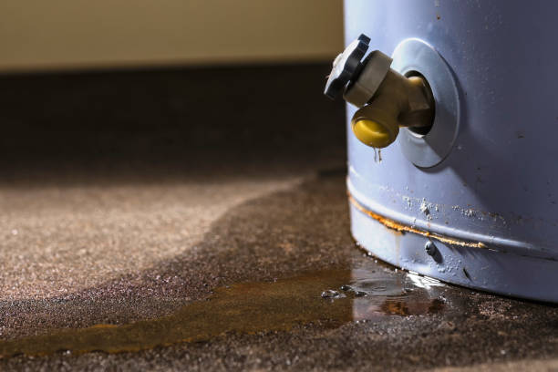 Best Water damage restoration near me  in Barnesville, GA