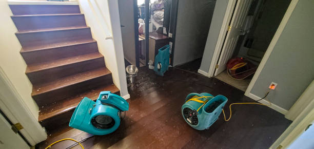 Best Flooded house restoration  in Barnesville, GA