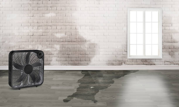 Best Water damage cleanup near me  in Barnesville, GA