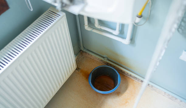 Best Water damage cleanup near me  in Barnesville, GA