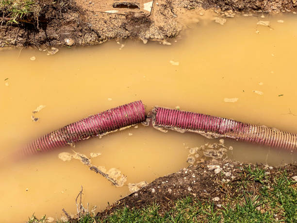 Best Water damage cleanup near me  in Barnesville, GA