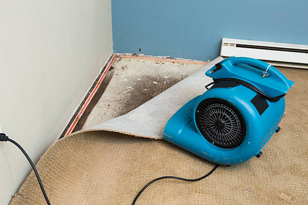 Best Ceiling water damage repair  in Barnesville, GA
